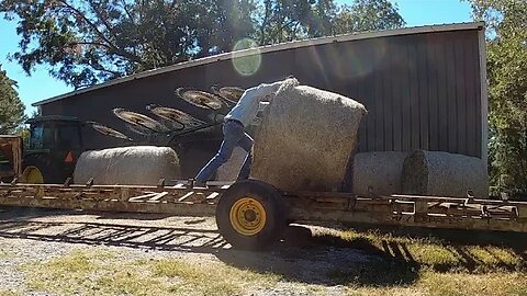 Are we going to have enough hay???