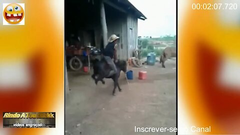 Funny Video Mai/2021 Most funny of all