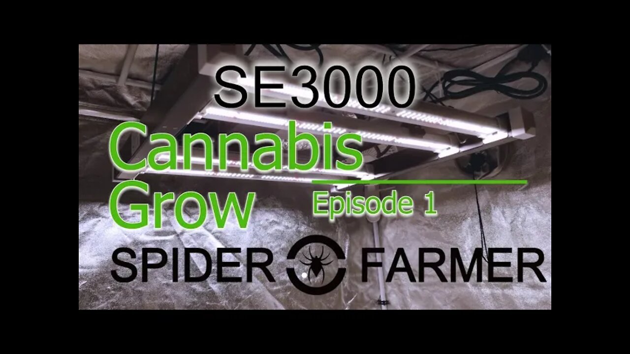 Spiderfarmer SE3000 Cannabis Grow Ep 1🔨 #SE3000 #SPIDERFARMER #420