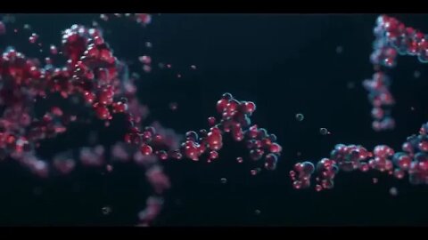 LIFE BEYOND II The Museum of Alien Life 4K