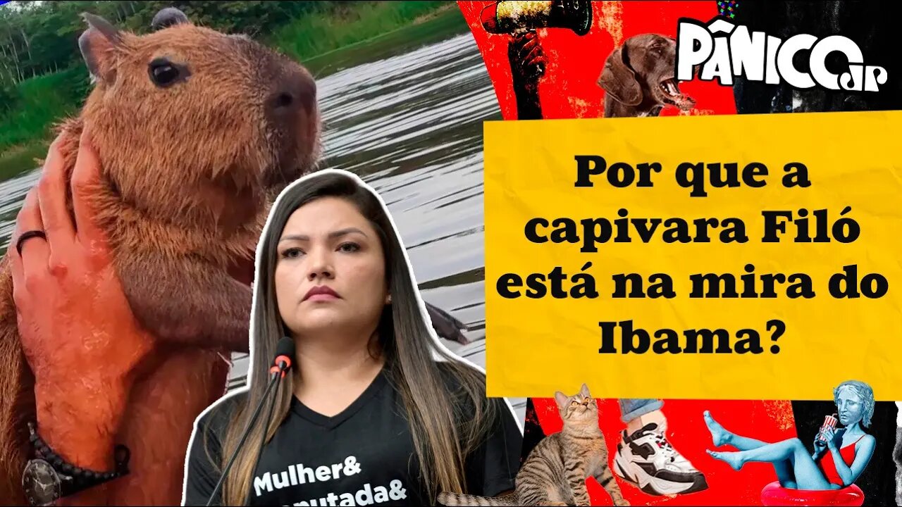 DEPUTADA JOANA DARC: “AGENOR VEM SENDO ACUSADO COMO SE FOSSE O MAIOR CRIMINOSO DO AMAZONAS”
