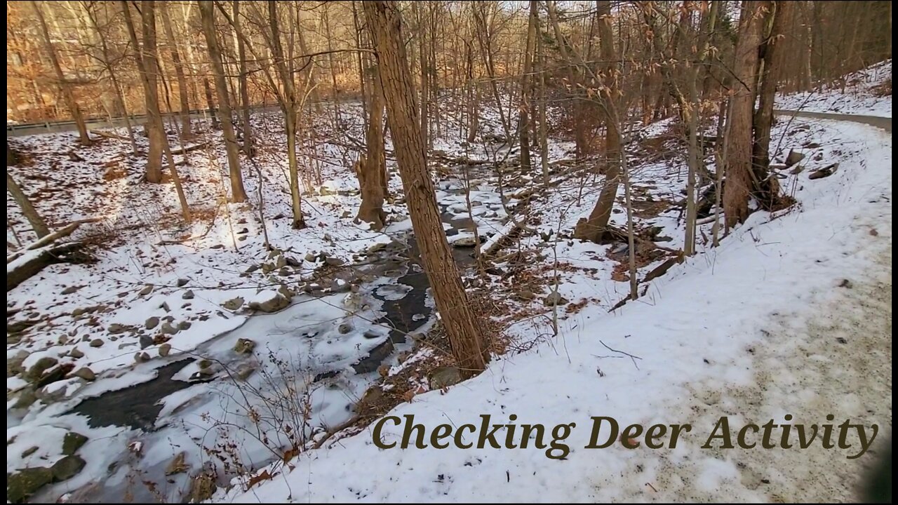 Finding Winter Deer Activity