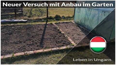 Neuer Versuch mit eigenen Anbau im Garten - Leben in Ungarn