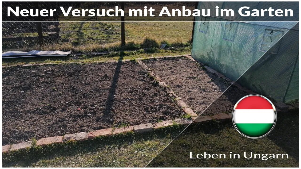 Neuer Versuch mit eigenen Anbau im Garten - Leben in Ungarn