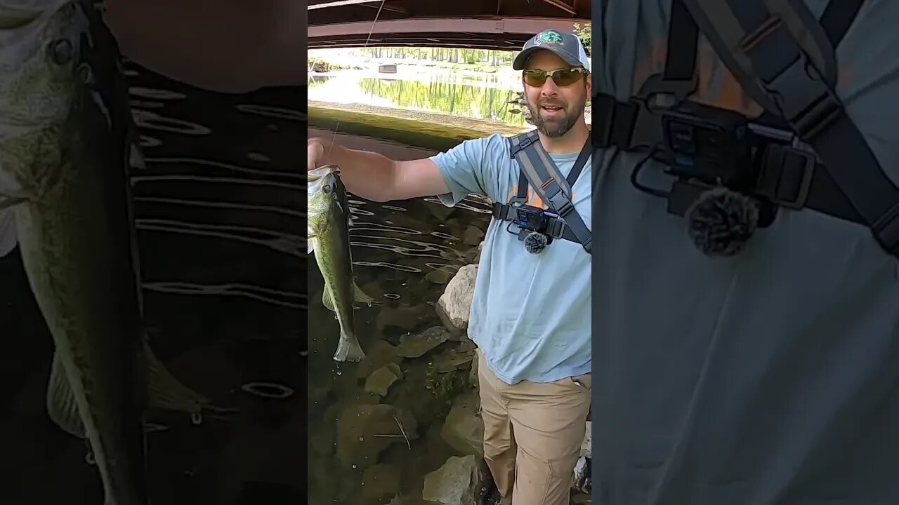 The YUM Dinger will catch ANYTHING and EVERYTHING!!