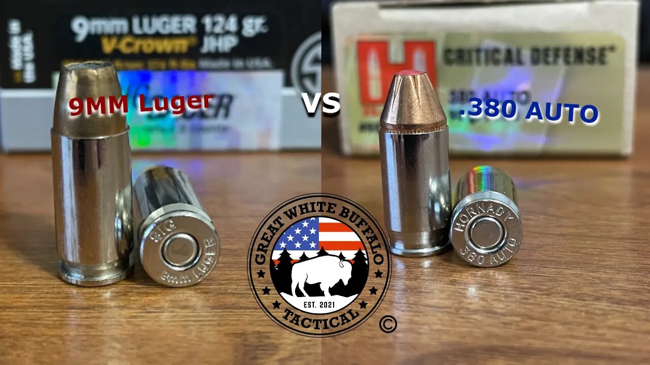 9MM Luger VS .380 AUTO, Which ones for you?