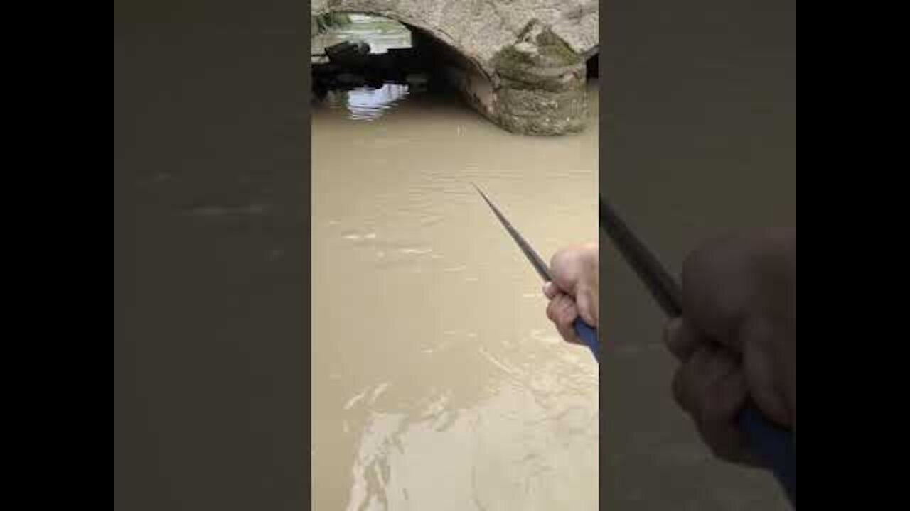 Best Rural Fishing Video 🐟