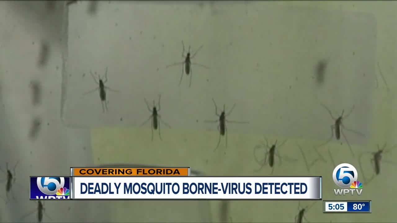 Deadly mosquito-borne virus detected in Florida