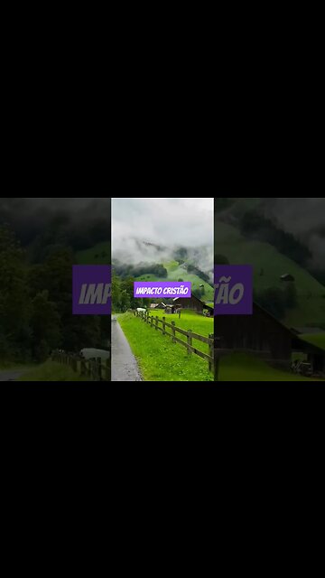 Apenas confie no Senhor