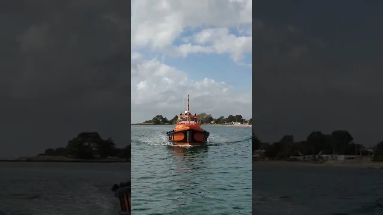 Pilot Boat Comes For A Visit. #trending #shorts #merchantnavy #lifeatsea #pilot #pilotlife #ship