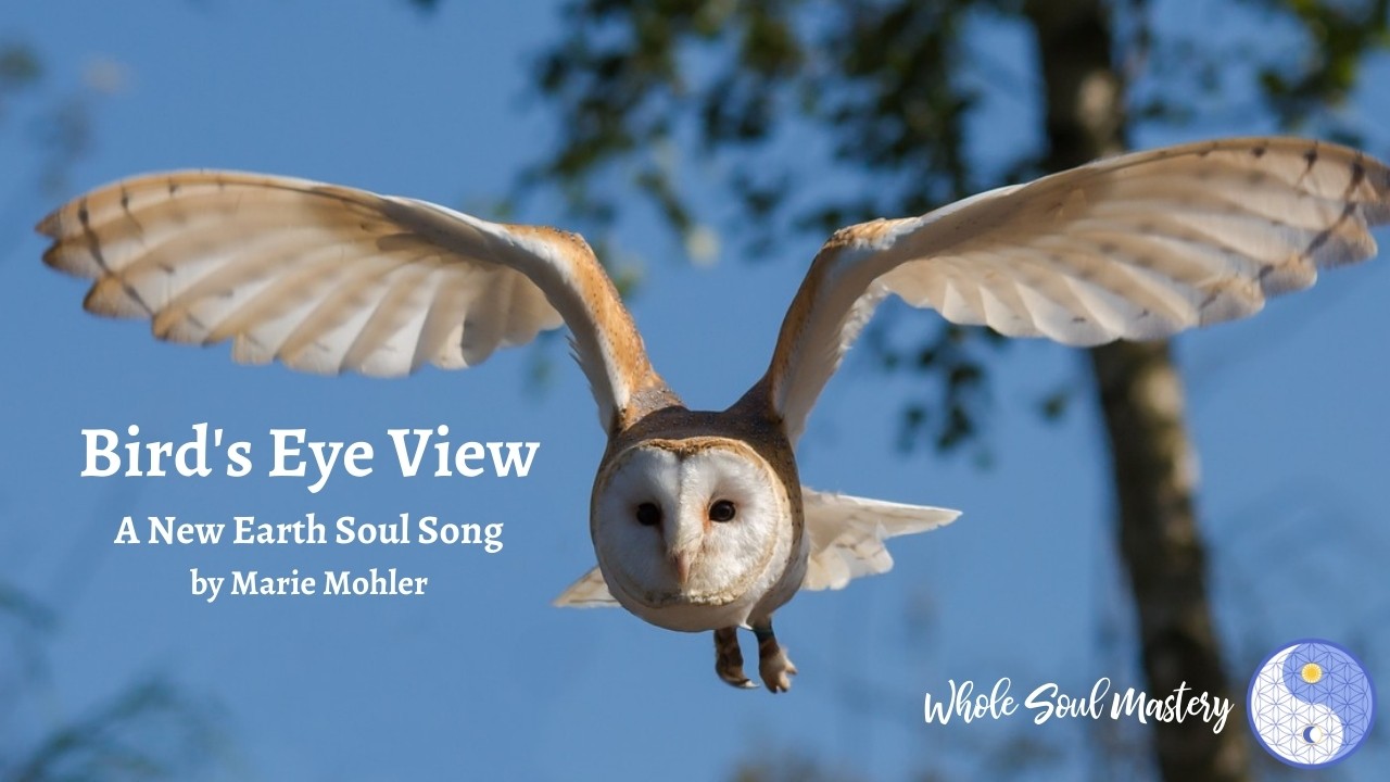 Bird's Eye View ~ A New Earth Soul Song