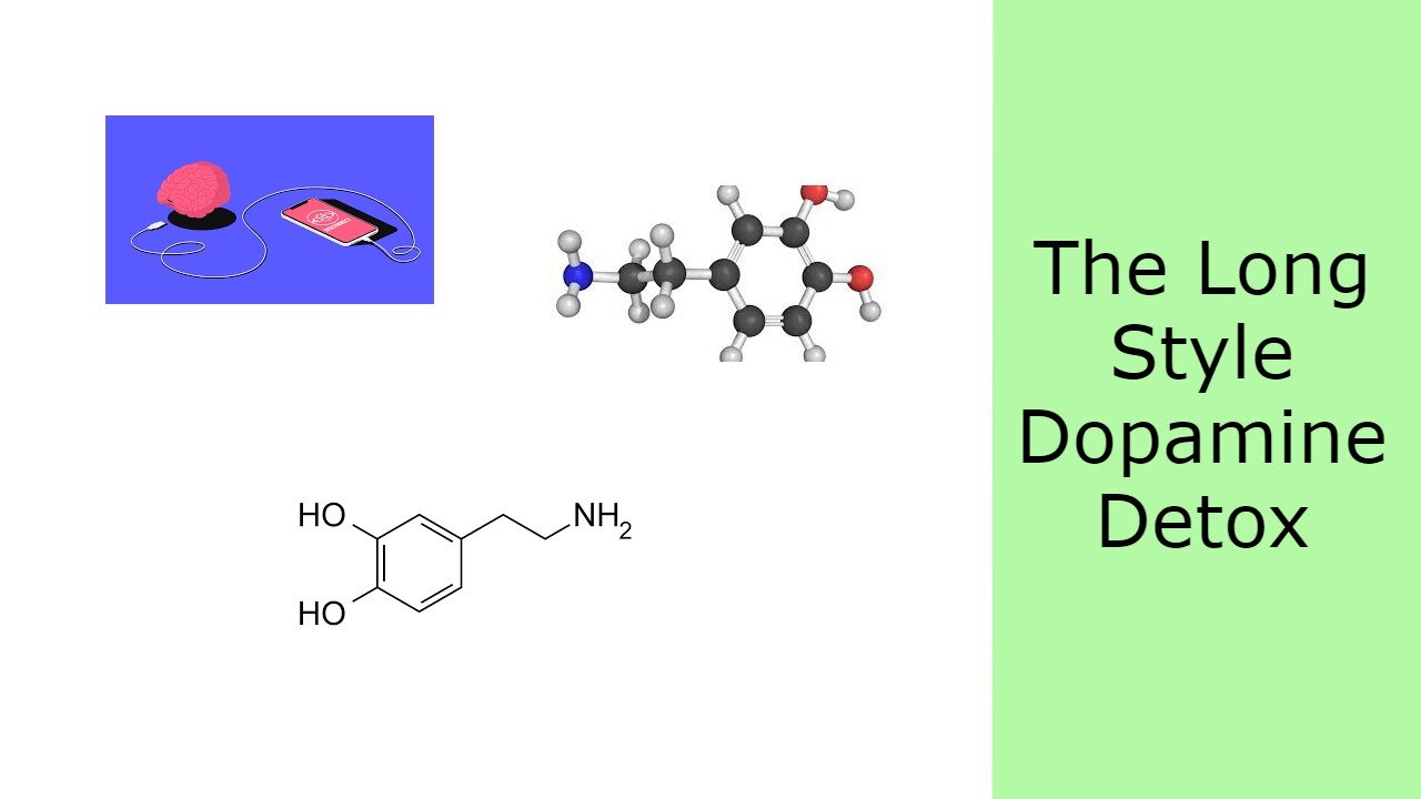 The Long Style Dopamine Detox