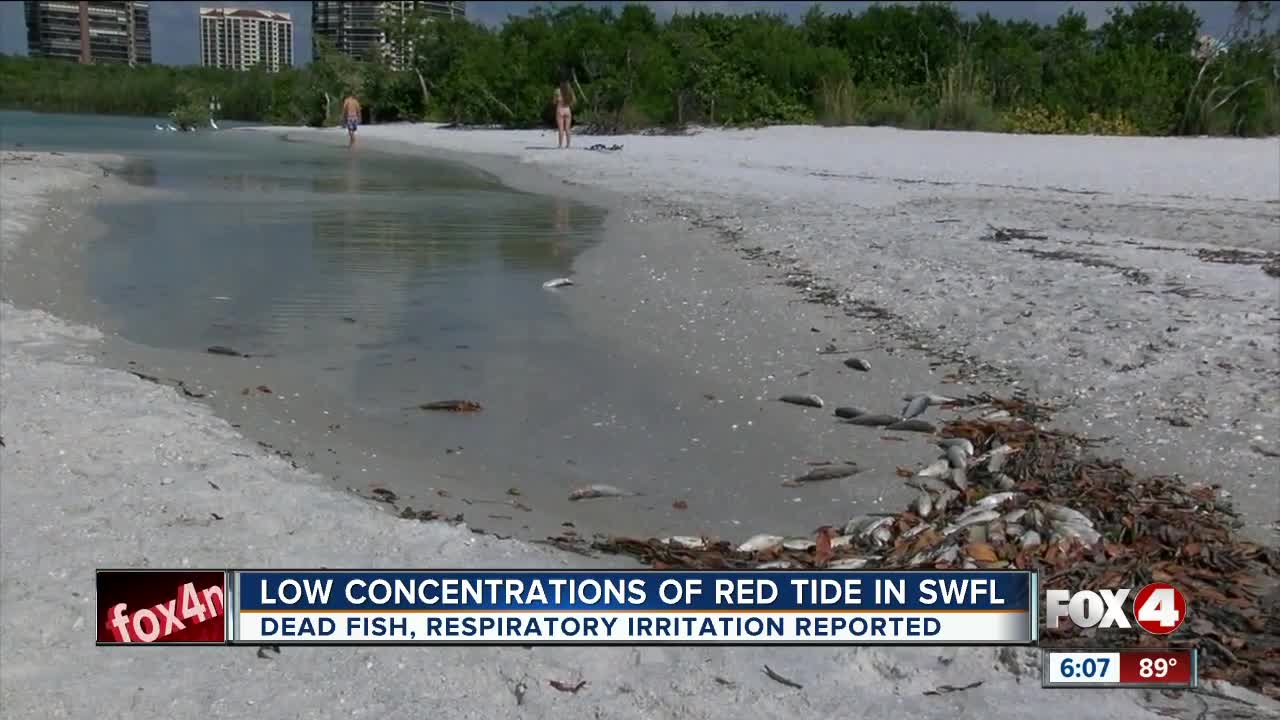 Red tide located in Collier County