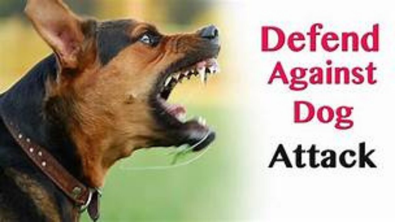 Do you know How To defend against a dog. Self defense against dog attack