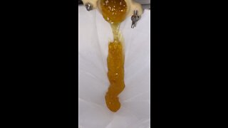 More Honey Time