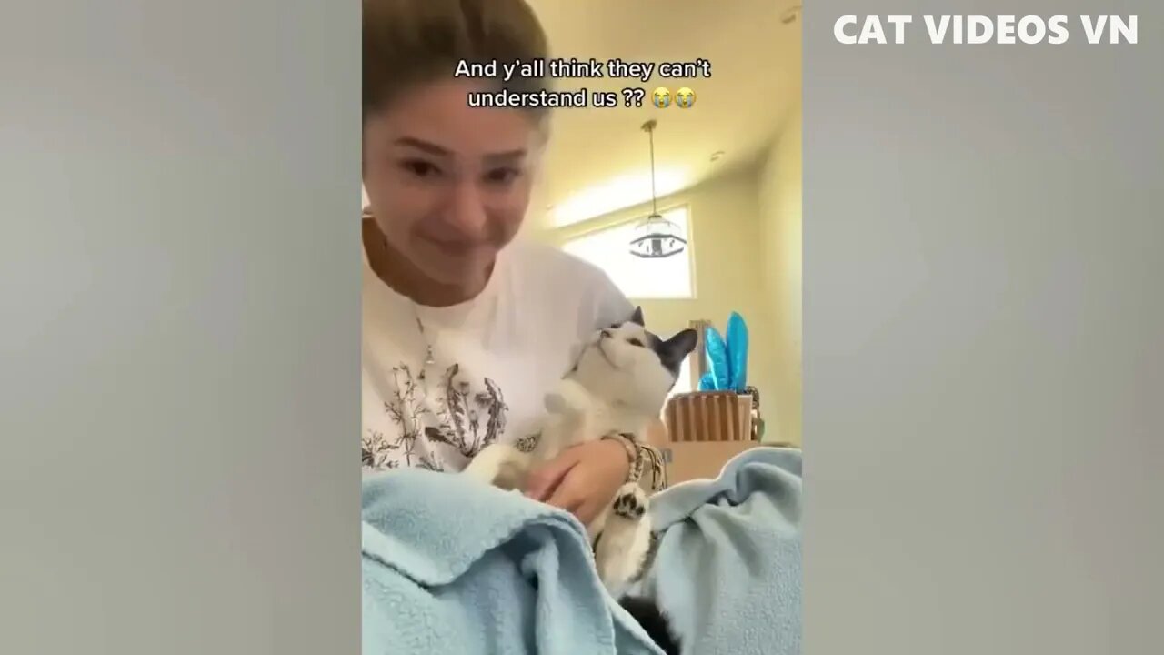Funniest Animals Video 2022 | Funny Cats Compilation | Funny Animal Videos