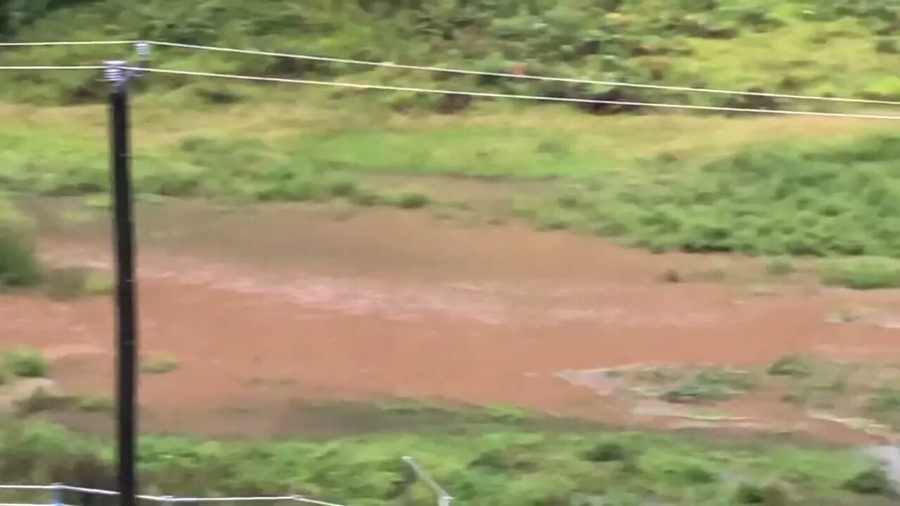 Morning flood check. Day 5. Waters rising