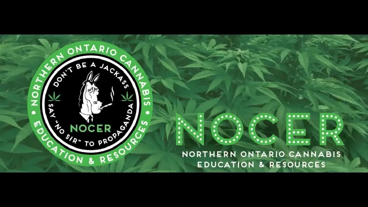CBD Sunday with Nicole