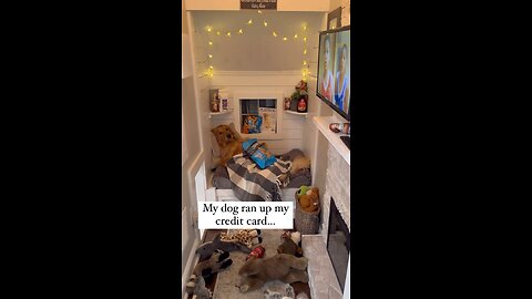 Dog go get me some money 🤣