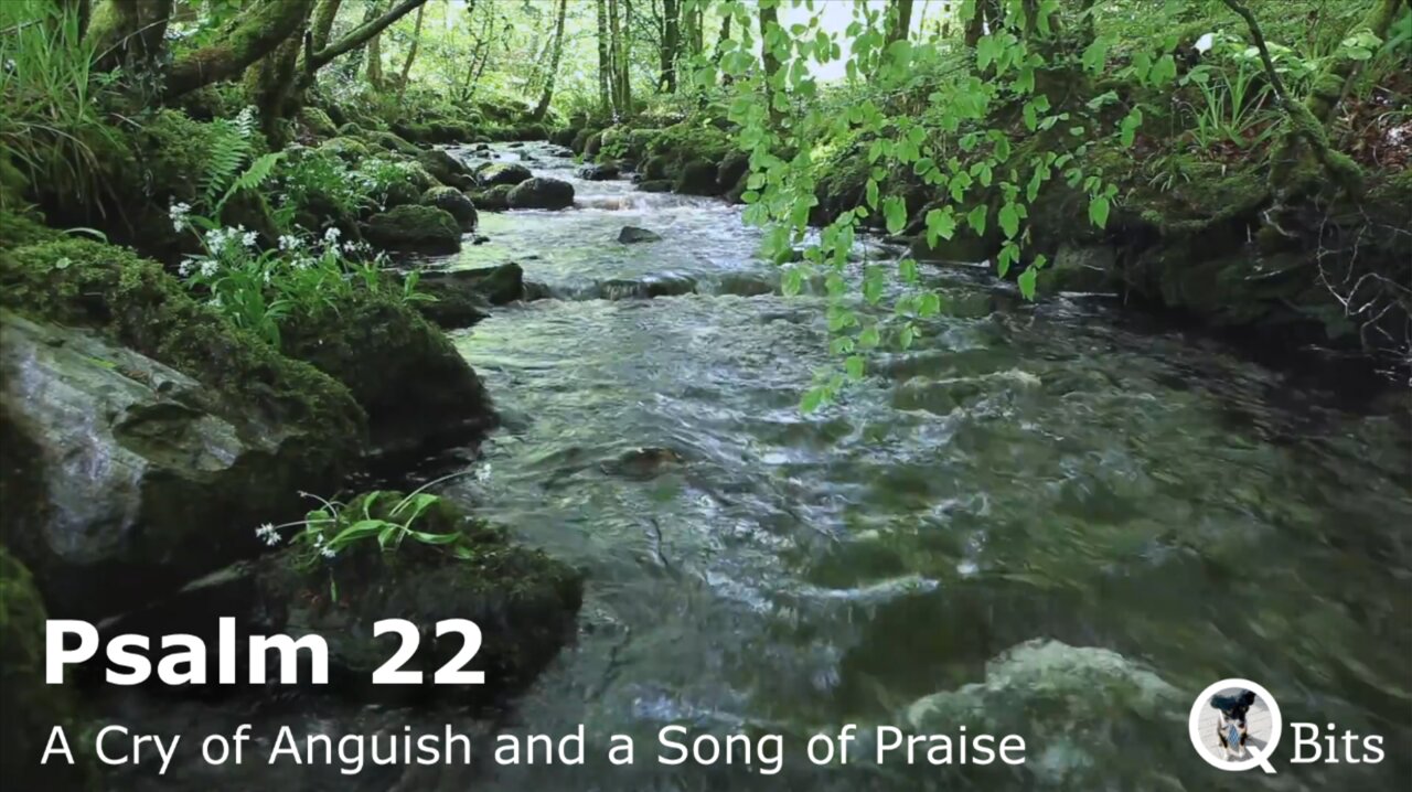 PSALM 022 // A CRY OF ANGUISH AND A SONG OF PRAISE