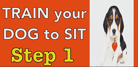 TRAIN_your_Dog_to_SIT_-_Step_1