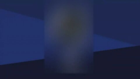 FACE CAM ?