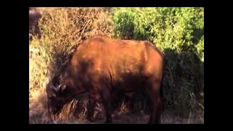Kenya 2006