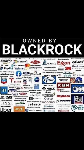 Who is BLACKROCK What is ALADIN AI