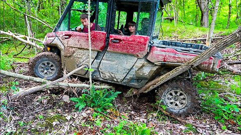 CanAm Defender Limited Gets Stuck on a Tree?!