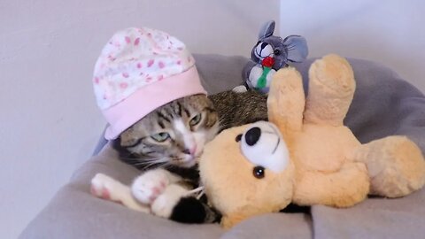 This Magic Cap Always Makes the Cat Sleepy