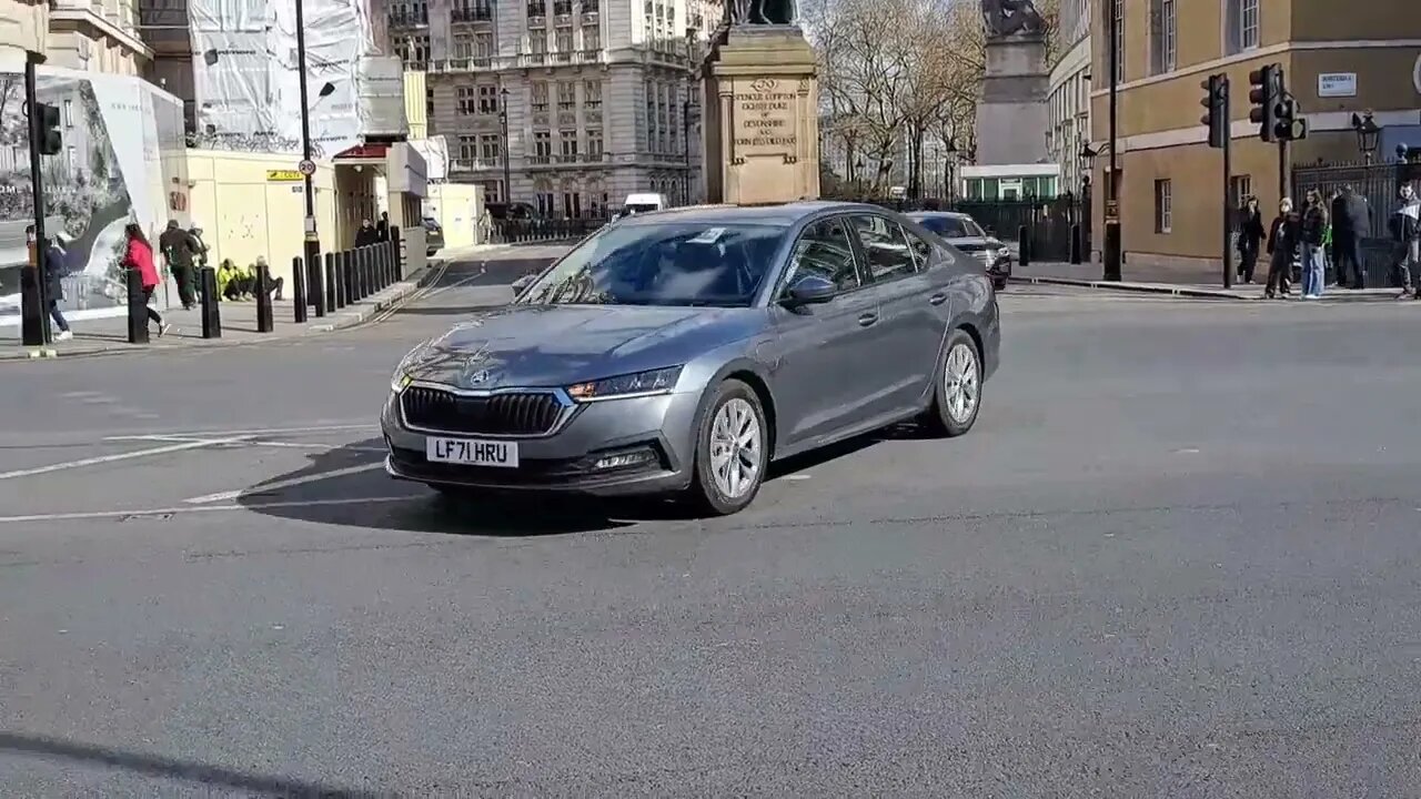 Big bosses arrive salute #horseguardsparade