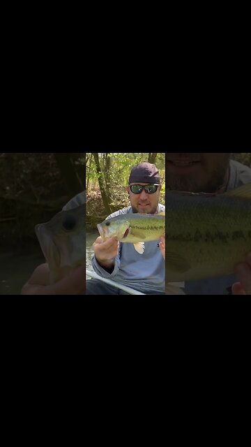 Kayak Creek Fishing Adventure and Fishin Mission!