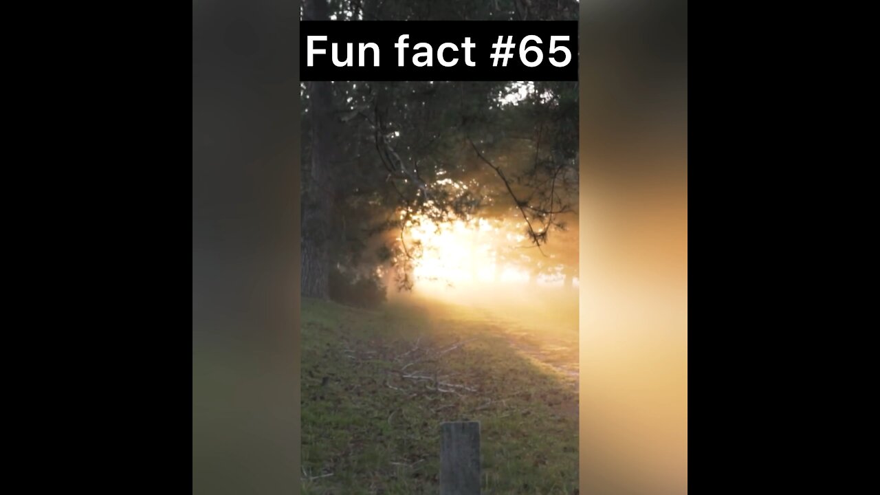Temperatures inside the Sun?