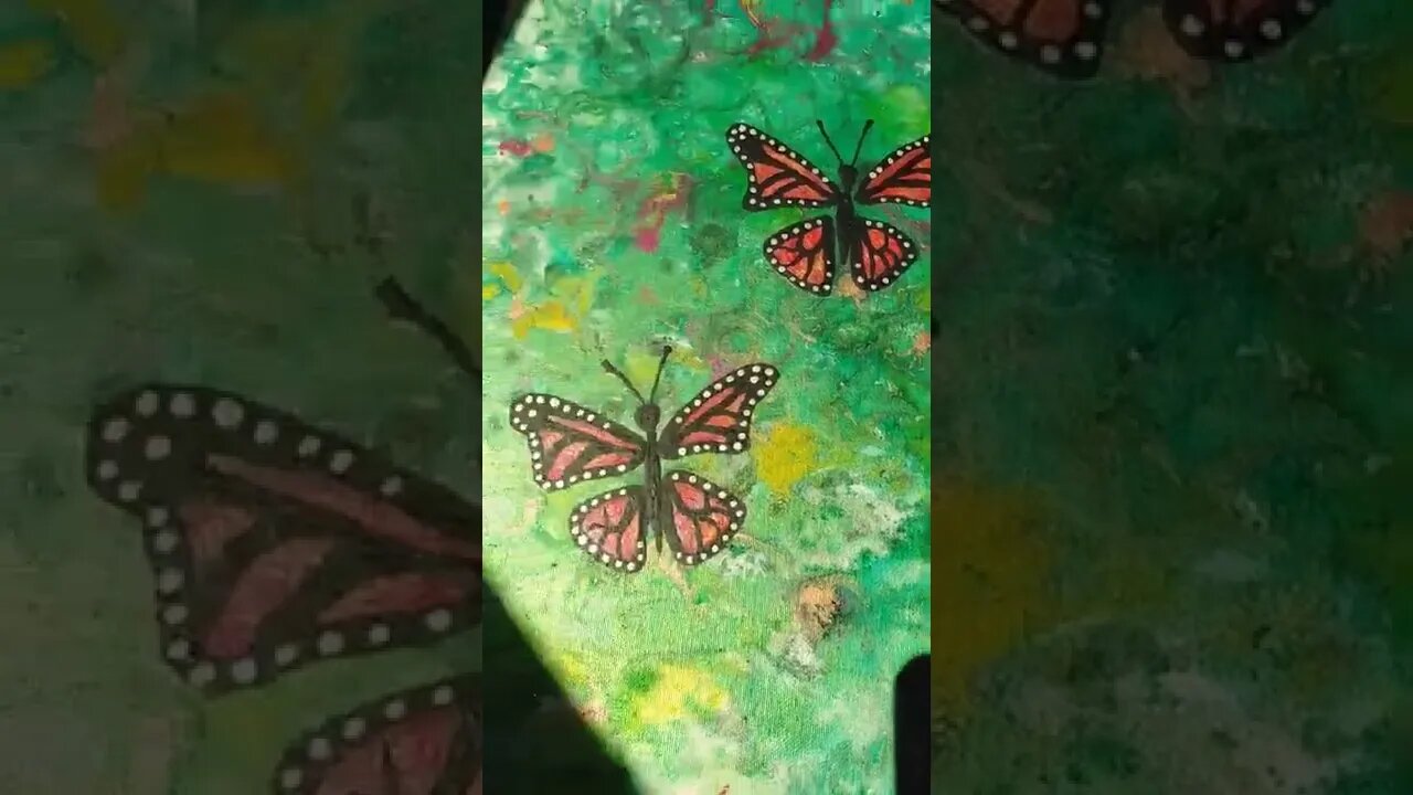 Monarch Butterflies.