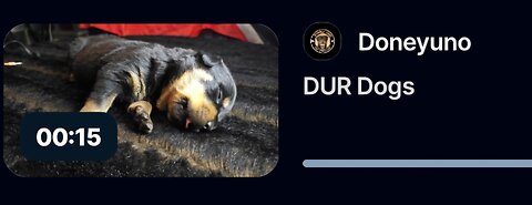 DUR E