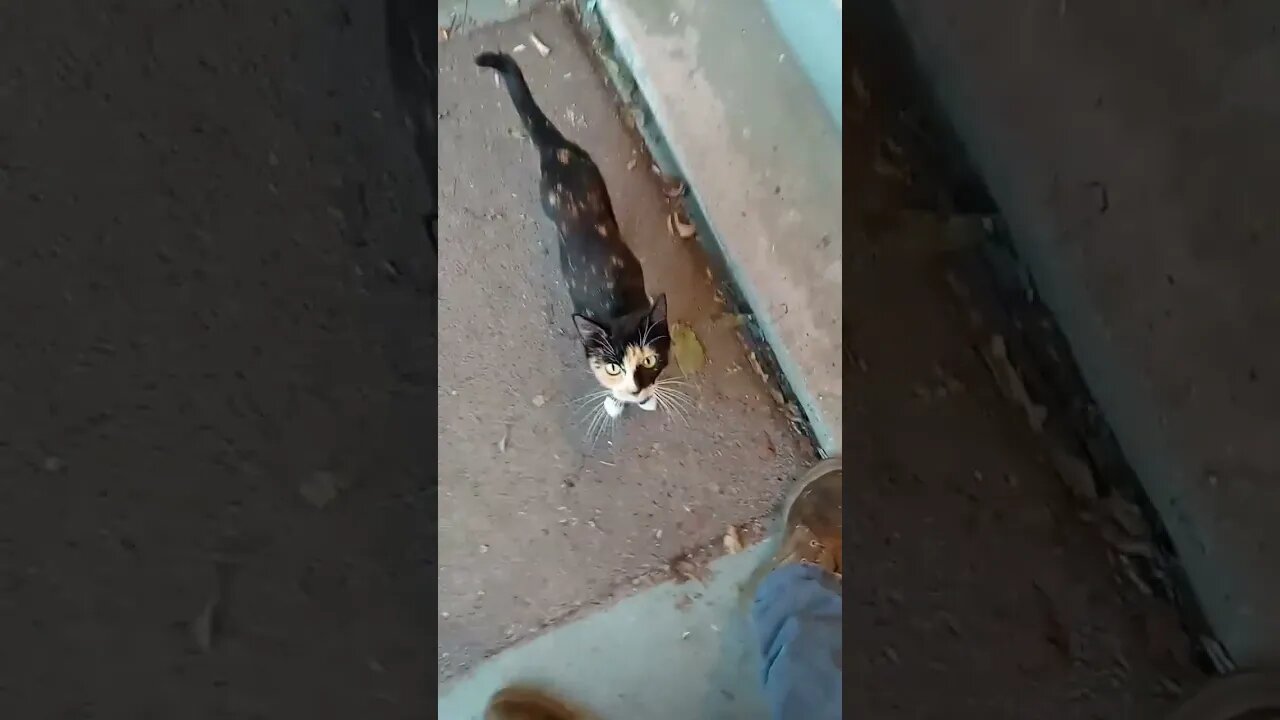 They Got Food And They Still Want Food
