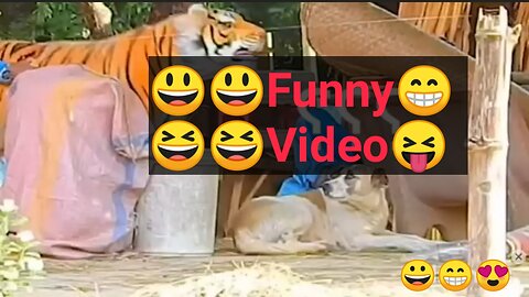 Funny video