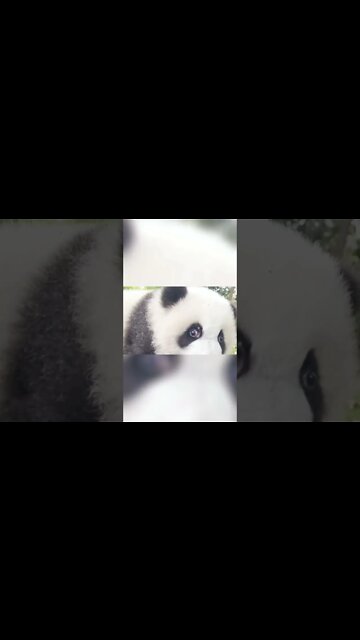 Cute adorable baby child with warm white and pink hat with cute baby girl