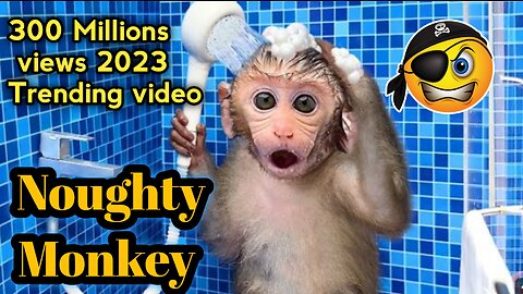 Monkey Baby Bon Bon oes to the toilet and plays with Ducklings in the swimming pool