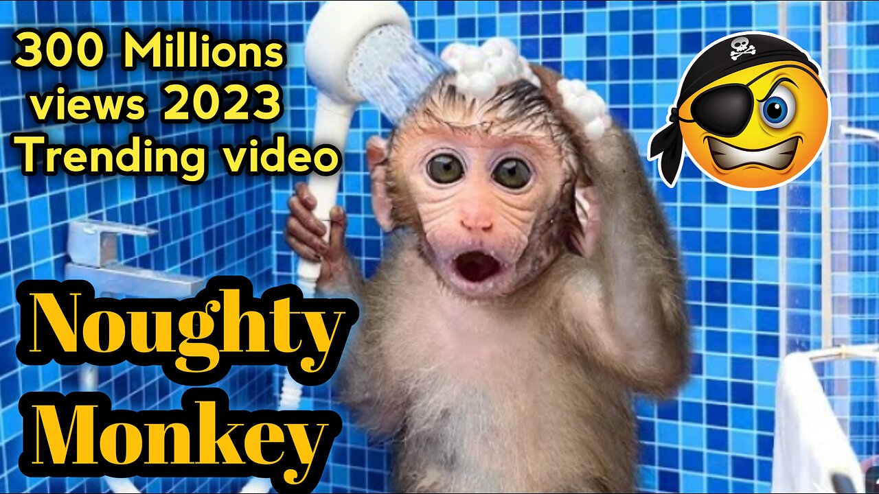 Monkey Baby Bon Bon oes to the toilet and plays with Ducklings in the swimming pool