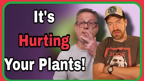 Mastering Cannabis Plant Nutrition: Overfeeding vs. Underfeeding