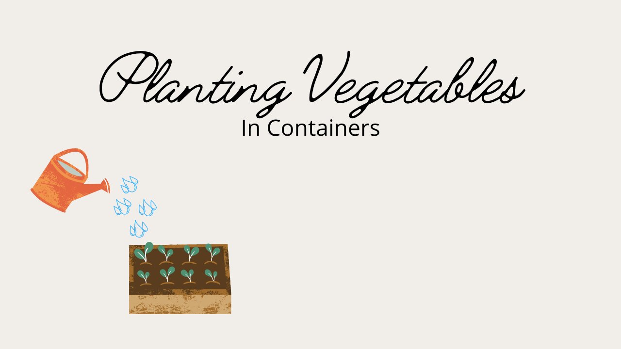 How to Plant Vegetables in Containers | Gardening