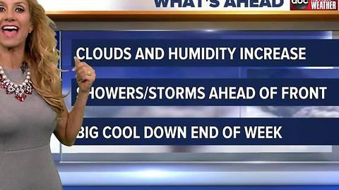 Action Weather Forecast