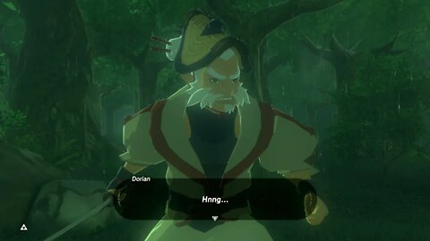 Breath of the Wild Master Mode 49