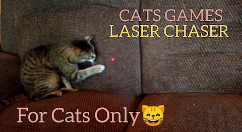 Cats GAMES - Laser Chaser