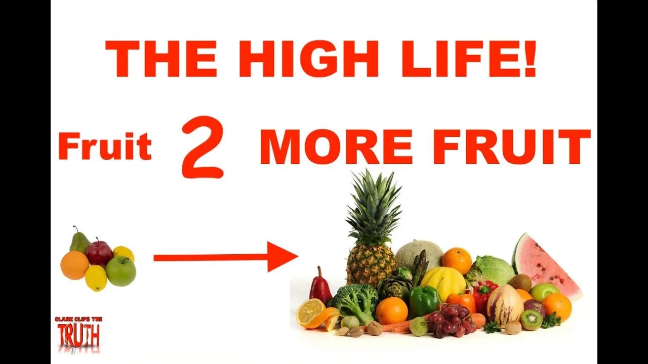 The HIGH LIFE! Fruit to MORE FRUIT! | DOC S3:EP8 | David Carrico | Jimmy Cooper