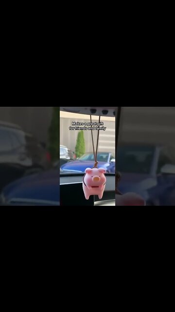 @TAXI TV Just Look How is cute this swinging pig is ! #shorts #caraccessories #cars