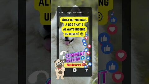 Dogs Riddle | Dogs Riddles in English | Riddles with Answer | Hard riddles | #shorts