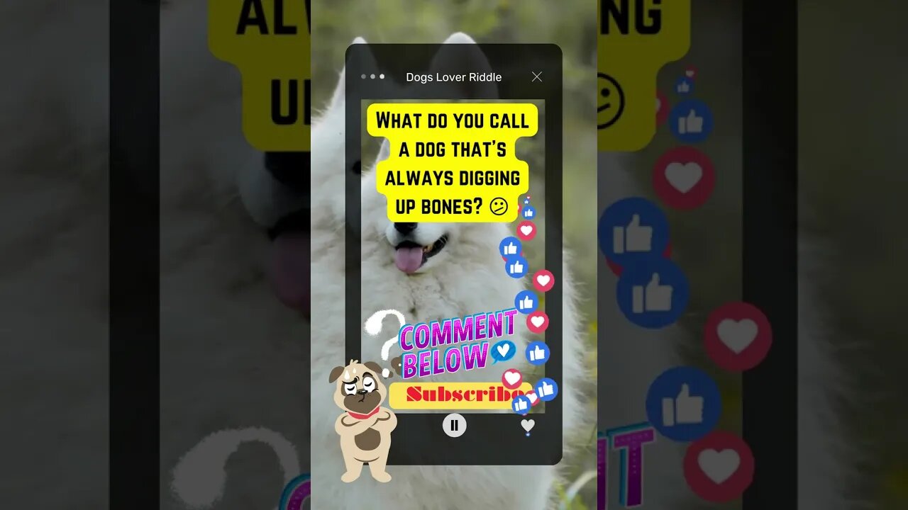 Dogs Riddle | Dogs Riddles in English | Riddles with Answer | Hard riddles | #shorts