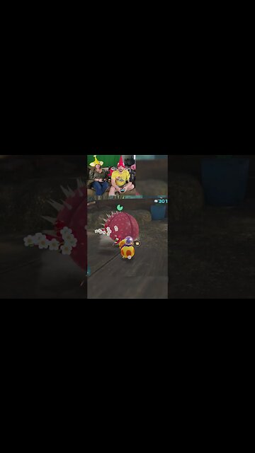 Things Never Go to Plan in Pikmin!